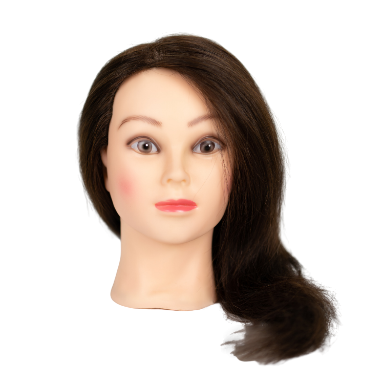 TOTO Hair Company BIANCA szemléltetőfej 100% emberi haj 55cm barna szín 800036